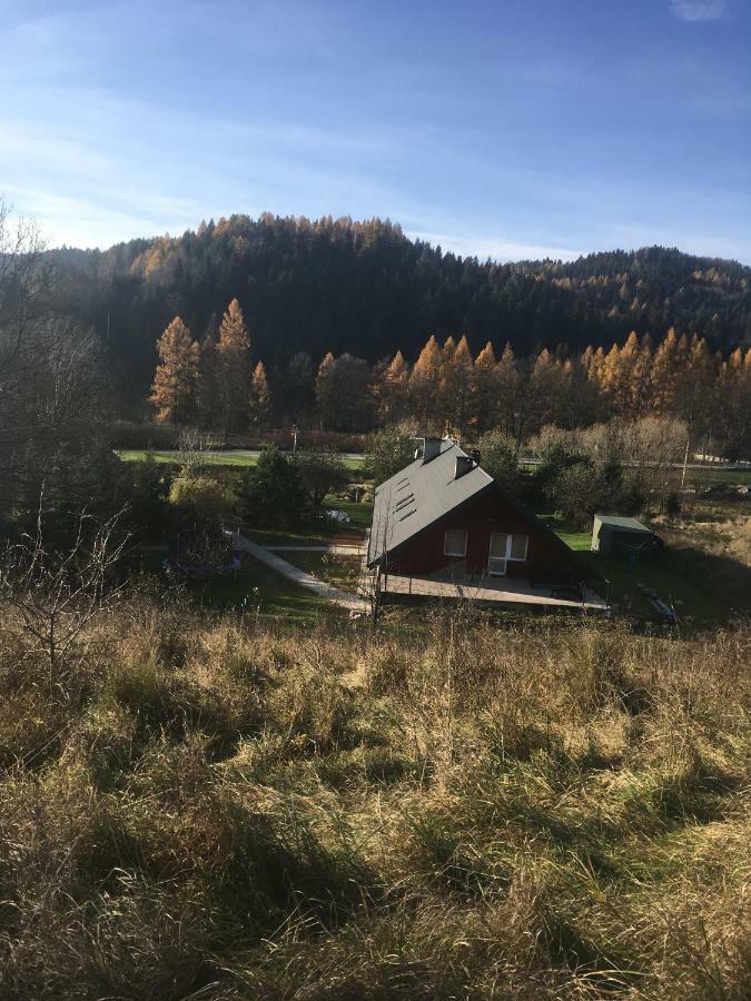 Powroznik 94 Apartment Muszyna Bagian luar foto
